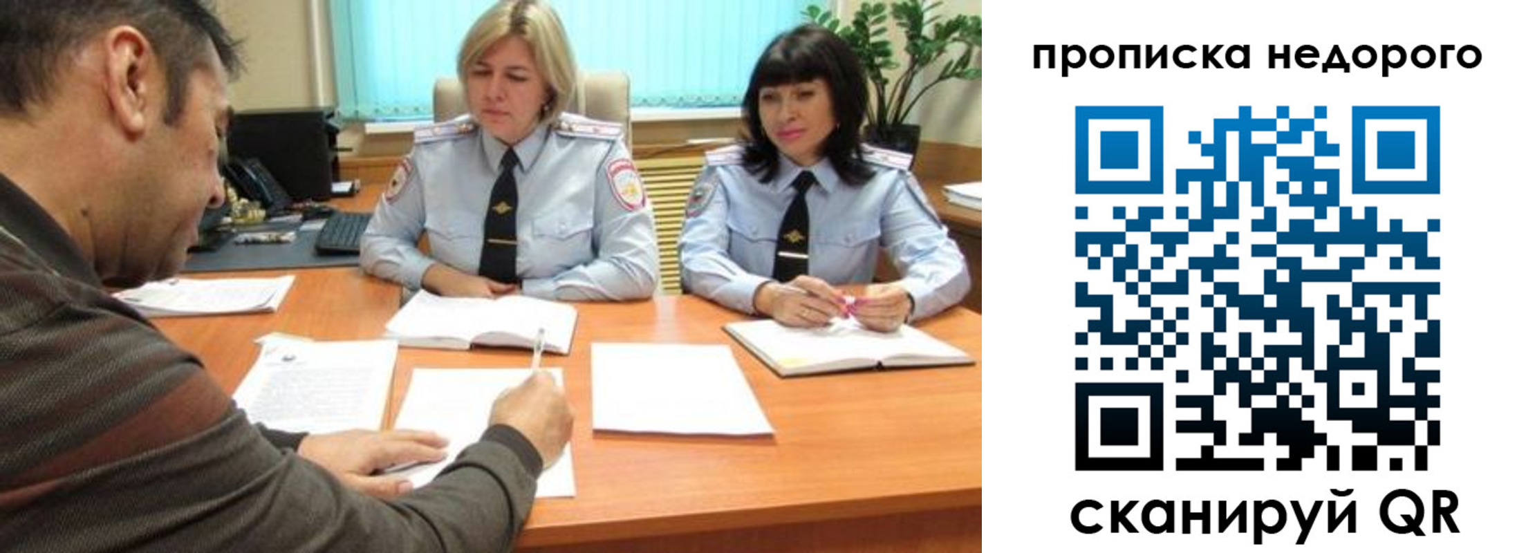 прописка поиск в Тайшете